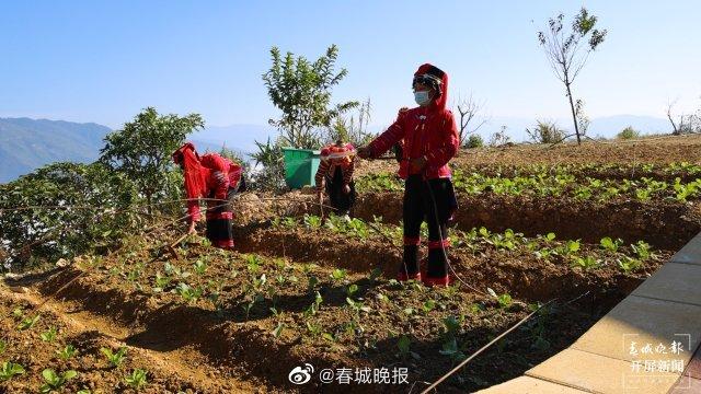 半坡乡二甫新村：特色产业强 边寨大变样