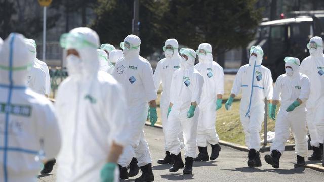 日本暴发最严重禽流感：被扑杀死禽已无处可埋，鸡蛋价格飙升