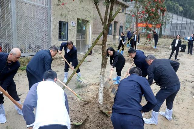 佛山检察：植新绿·蕴希望！“揭”开新序幕，共建绿美佛山