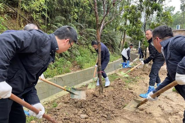 佛山检察：植新绿·蕴希望！“揭”开新序幕，共建绿美佛山