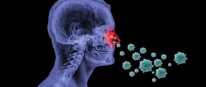 【健康科普】得了鼻炎那么久你知道你是哪一类吗？