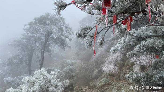 泰山雨后现雾凇美景，温度低至零下，建议择期进山