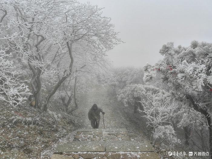 泰山雨后现雾凇美景，温度低至零下，建议择期进山