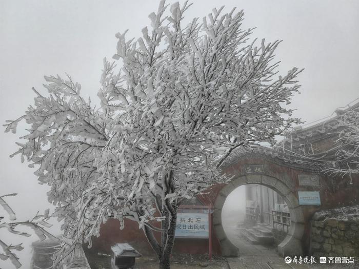 泰山雨后现雾凇美景，温度低至零下，建议择期进山