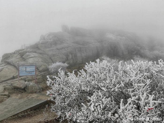 泰山雨后现雾凇美景，温度低至零下，建议择期进山