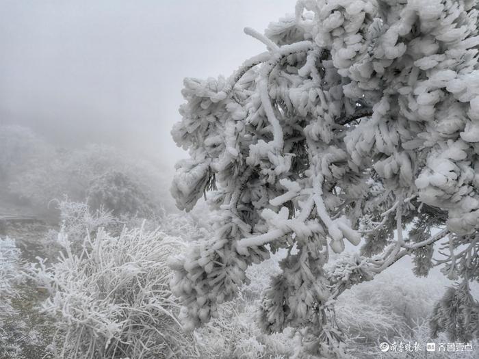 泰山雨后现雾凇美景，温度低至零下，建议择期进山