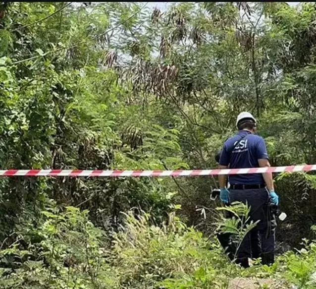 泰国警方在女留学生遇害现场调查。