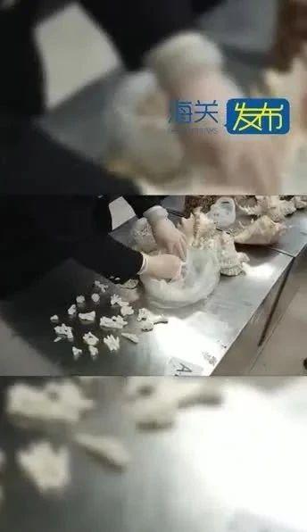 海关在入境行李中查获多件违规物品：已经濒危，求放过