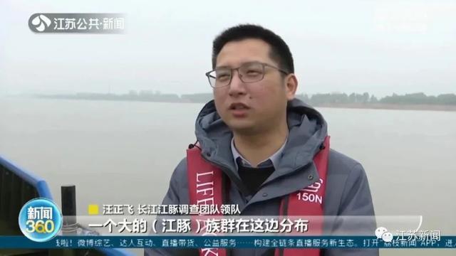 长江江豚调查团队野外考察，遇见意外惊喜！