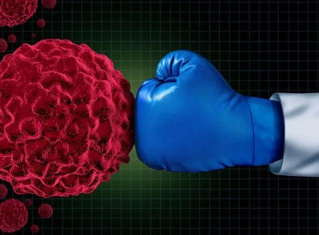 前沿 |《细胞》子刊揭示p53新调控因子：它的水平越高，癌症患者活得越久！