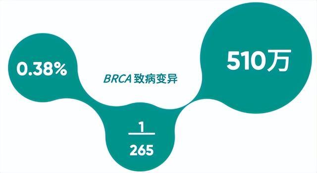 爱康集团联合北京大学中国卫生经济研究中心首次发布《2023版武汉市体检人群健康报告》