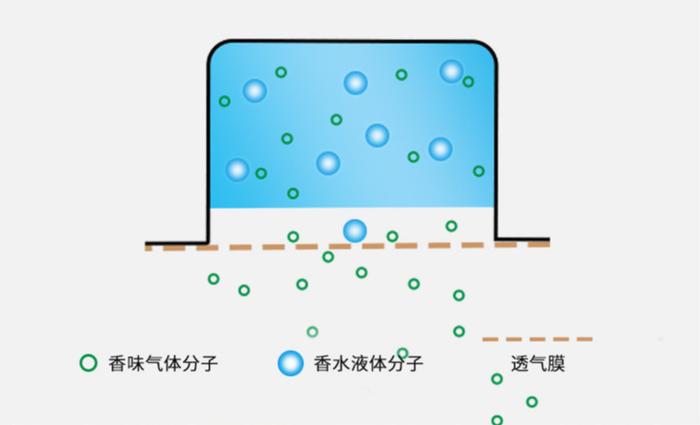 在车上抽烟总有烟味难以散去？有品味的男人会用这个妙招来搞定