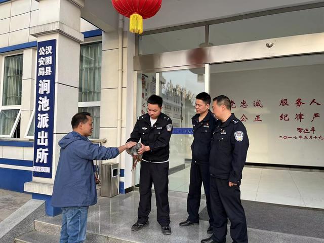汉阴公安丨警民合力成功救助国家一级保护动物朱鹮