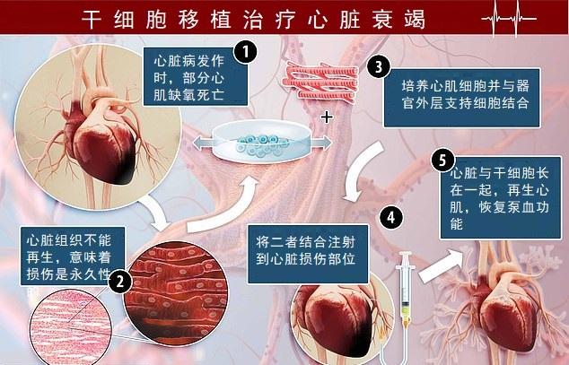 盘点人类追求永生的三种前沿技术