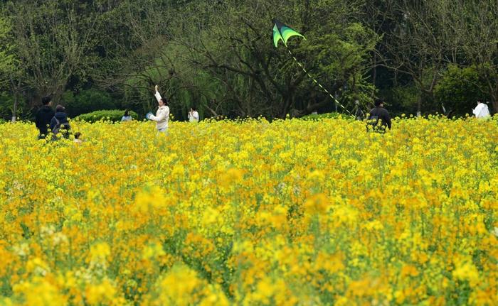 杭州春日必做的12件事！太美好！照着这份“杭州旅游指南”玩准没错