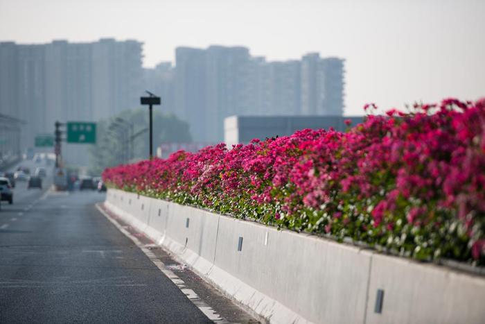 要起飞！火箭式升温，直冲35℃！但最“扎心”的在下周末……