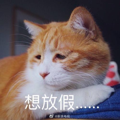 ̶̨ƽ