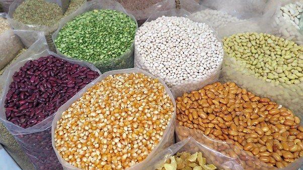 农业农村部：今年玉米水稻大豆等种子价格比上年同期上涨4%到14%