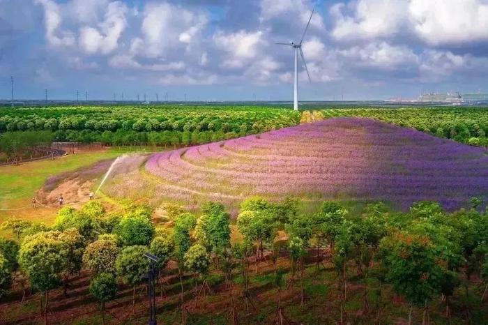 【征集】上海最大的生活垃圾处置基地道路、水系名称征集中，活动奖励等你拿