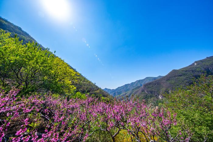 行走在春天里，千峰竞秀千灵山