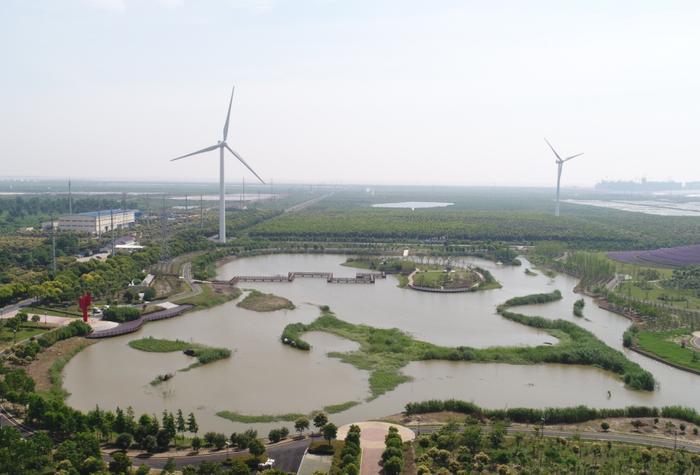 【征集】上海最大的生活垃圾处置基地道路、水系名称征集中，活动奖励等你拿