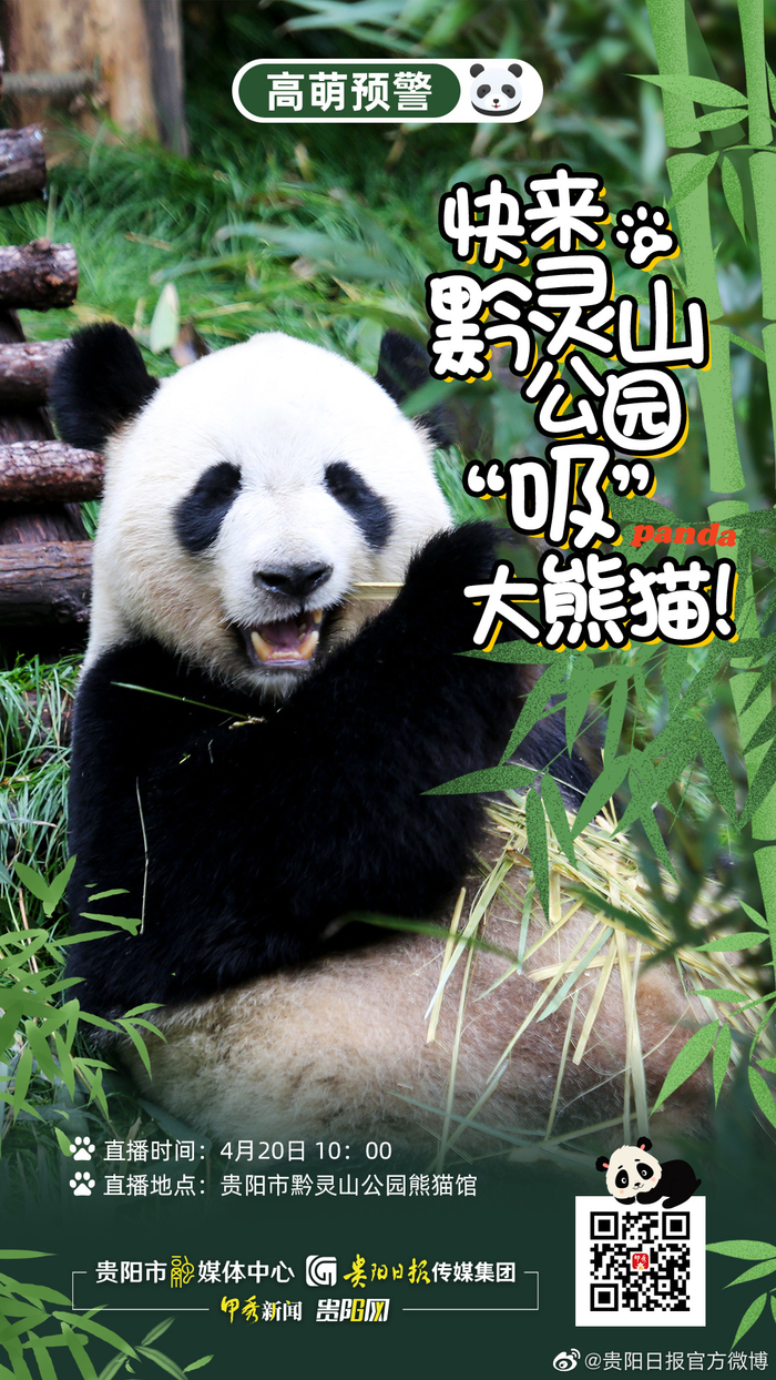 熊熊直播引领社交新风尚用户情感连接再升级