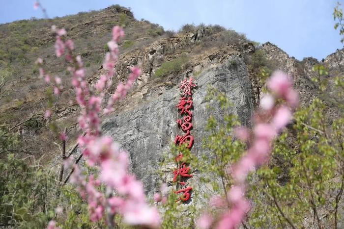 “以花为媒”激活“山花经济”！霞云岭乡花开正盛