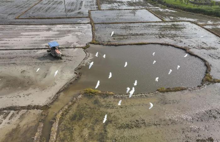 “谷雨”遇上温州美食，“食”分美味！