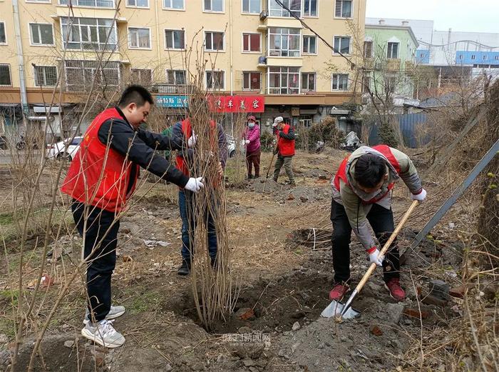 种下“带香味的名片”｜100株丁香树“住”进道外区北环俊景小区