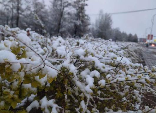 最高再降14℃！“跳水式”降温继续！陕西：暴雪蓝色预警！