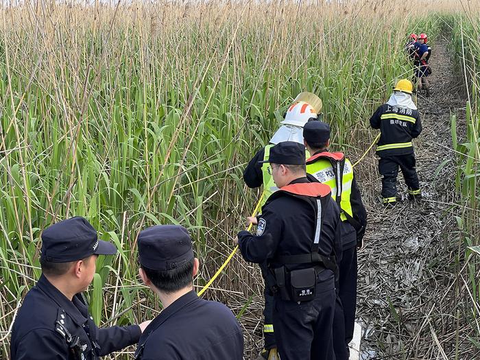 上海崇明九名工人种植芦苇时身陷滩涂，多部门联合紧急救援
