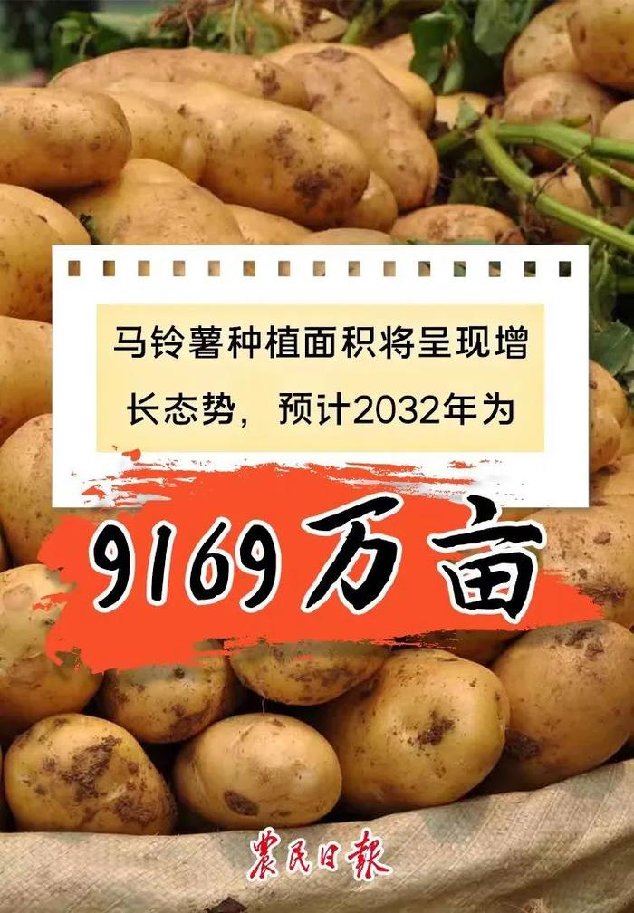 数读报告丨未来10年，我国粮食综合生产能力会如何？预测来了→