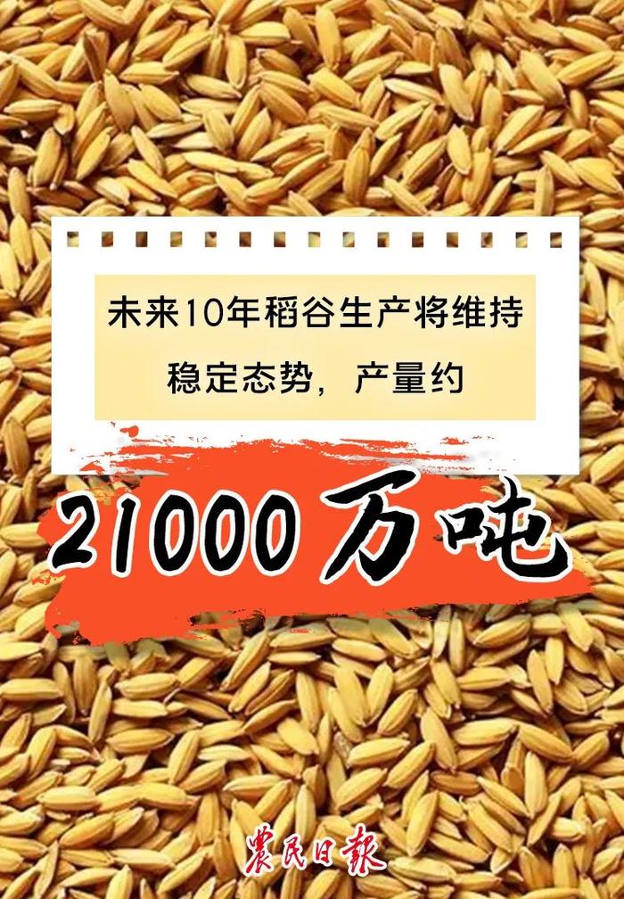 数读报告丨未来10年，我国粮食综合生产能力会如何？预测来了→