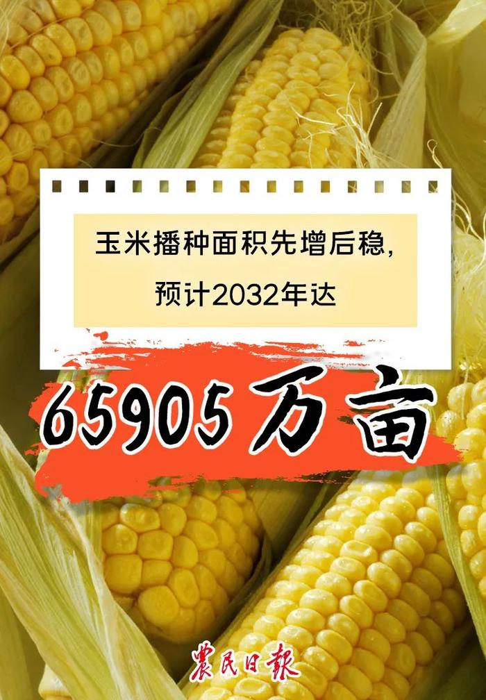 数读报告丨未来10年，我国粮食综合生产能力会如何？预测来了→