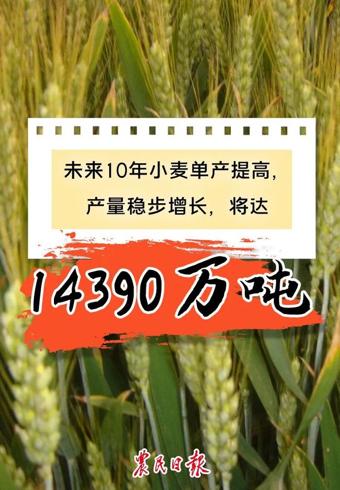 数读报告丨未来10年，我国粮食综合生产能力会如何？预测来了→