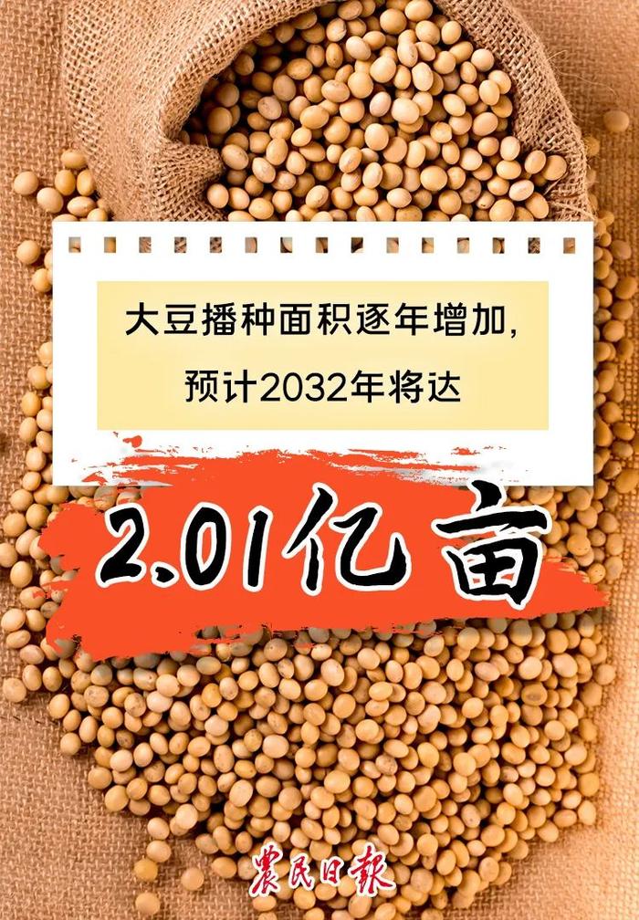 数读报告丨未来10年，我国粮食综合生产能力会如何？预测来了→