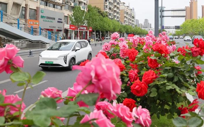 城市功能缺什么就补什么，广大市民盼什么就干什么！虞爱华调研城市功能服务设施建设工作