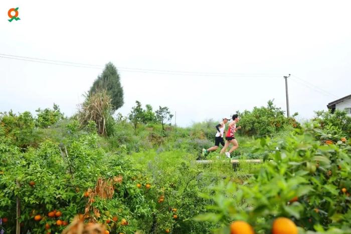 山川下、江河畔、田园里、街巷间……五赛齐开，新重庆跑起来！