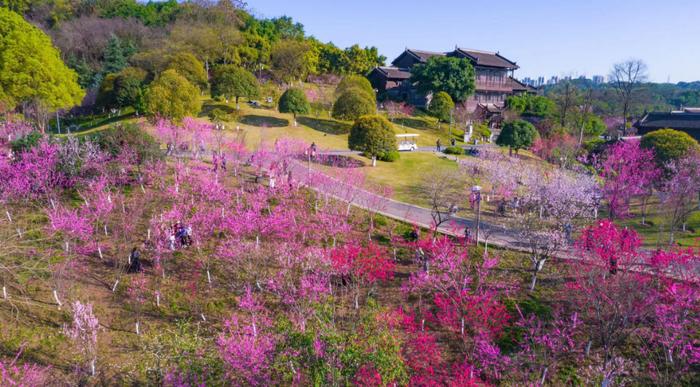 首批开放共享！重庆35个公园绿地可搭帐篷、冷餐、放风筝