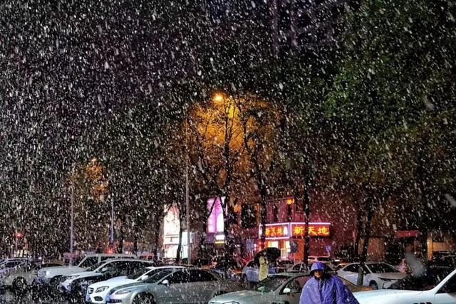 沈阳昨晚下！雪！了！