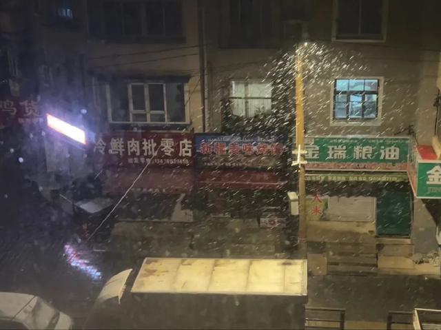 沈阳昨晚下！雪！了！