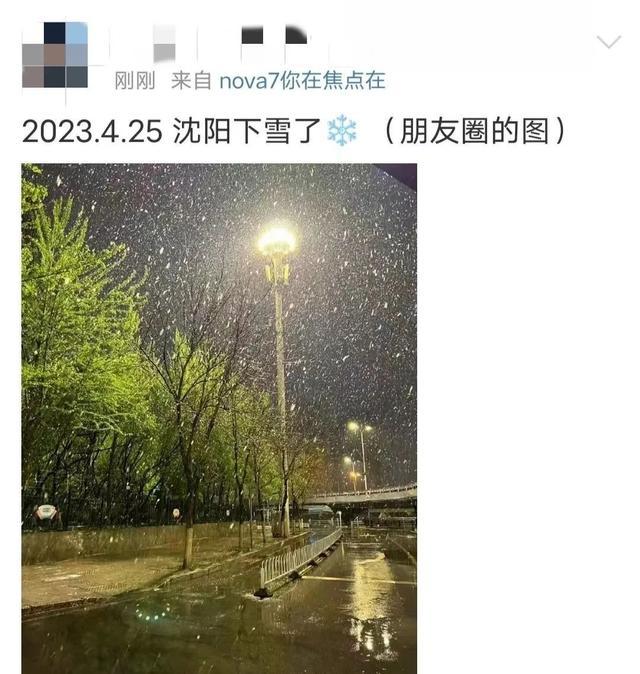 沈阳昨晚下！雪！了！