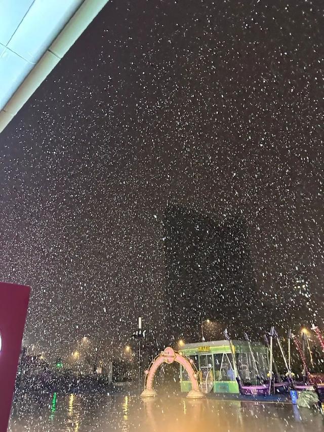 沈阳昨晚下！雪！了！