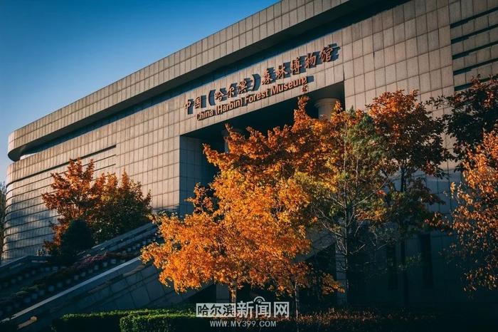 4月27日起中国（哈尔滨）森林博物馆免费开放｜需提前预约