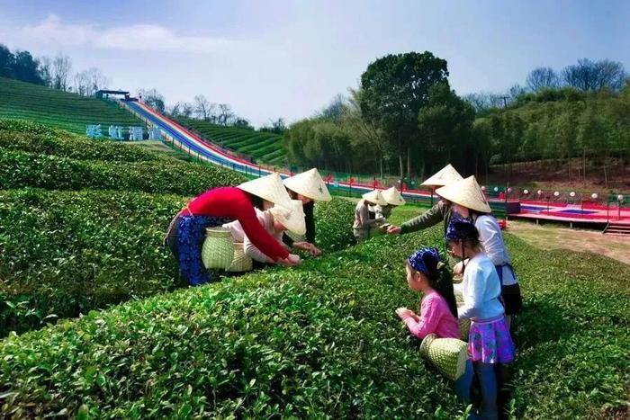 “五一”有个吃货节，约吗？还有晚风市集、乐队演出……