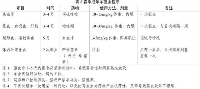 春季养羊生产技术要点，快来围观