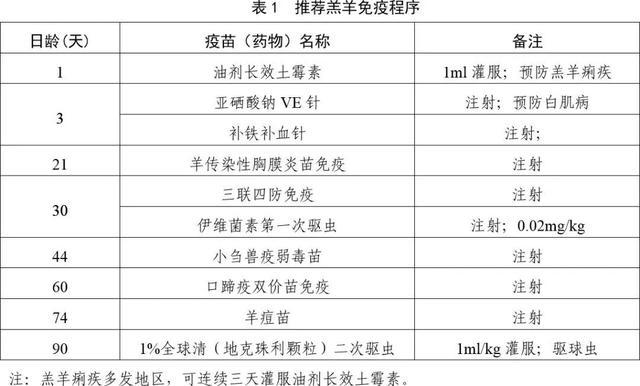 春季养羊生产技术要点，快来围观