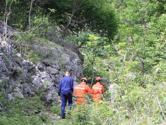 桂林一老人上山寻牛失联，党政警军民携手展开生死救援