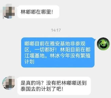 “小丫”去世，官方公布多只网友关心的大熊猫现状