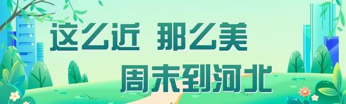 为期4天！第十九届北戴河轮滑节开幕 逾万名爱好者齐聚现场一起嗨